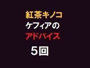 紅茶キノコ、ケフィアのアドバイス☆５回まで聞けます　※取引ナビでやり取り＆画像診断も可能になりました