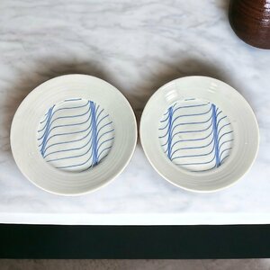 【FU10】[2枚セット] 染付 網目模様 なます皿 取り皿 小皿 平皿 丸皿 和食器 骨董品
