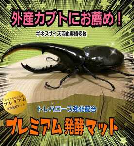 進化した！プレミアム3次発酵カブトムシマット☆特殊アミノ酸など栄養添加剤を3倍配合！トレハロース、ローヤルゼリー強化！産卵にも抜群！