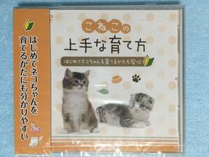 【 送料無料！!・ 未開封・未使用品！】★KOJIMA コジマ こねこの上手な育て方 DVD/108min★