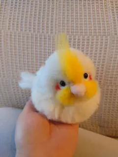 最終お値下げ中！オカメインコの赤ちゃん