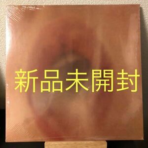 オリジナル盤 新品未開封 Hype Williams レコード LP オリジナル Dean Blunt Inga Copeland ハイプ・ウィリアムス ディーン・ブラント