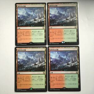 MTG KTK 樹木茂る山麓 日本語版 タルキール覇王譚 249/269 R JP 2014 4枚セット まとめ 