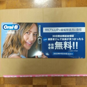 【非売品】最新 謎の美女？ OralB BRAUN BRAun ボード 大型 未使用