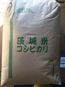 令和5年 茨城 茨城県産 JGAP認定農場　特別栽培米　こしひかり コシヒカリ 無農薬 30kg 低温貯蔵庫 玄米 ご飯 ゆうパック着払い
