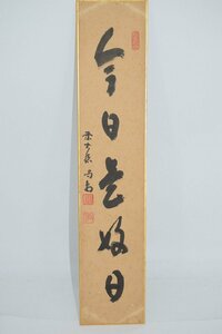 短冊 大徳寺 龍源院 細合 喝堂 「今日是好日」 茶道 02-7017