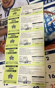 イースタンリーグ公式戦引換券5枚横須賀スタジアム