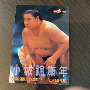 ９８BBM　３６　小城錦　康年　大相撲カード