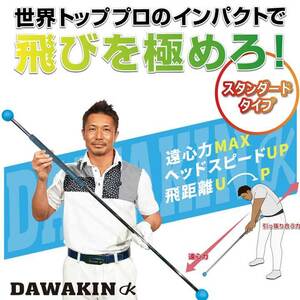 リンクス ゴルフ ダワ筋スティック スタンダードタイプ ターコイズ×グレー スイング練習器 ダワキン DAWAKIN STICK 送料無料 即納