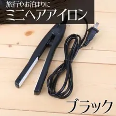 ミニ ヘアアイロン 黒 ストレートカール2Way 髪セット 小型 ブラック