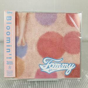 CD355●Tommy February6 / Bloomin’!