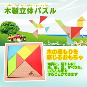 木製パズル 立体パズル 組み合わせ 木のおもちゃ 知育玩具 教育 脳トレ カラフル木製パズル 立体パズル ブロック 7ピース PZU7M