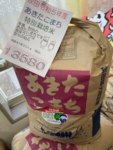 25kg令和5年秋田県大潟村産あきたこまち 検査米１等 精米（白米)２５キロ(10.05ｋｇ×２,5.05ｋｇ)送料無料(北海道沖縄除く)☆特別栽培米