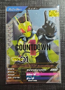 仮面ライダーガンバレジェンズ　仮面ライダー　ゼロワン　ライジングホッパー　SCR01-066