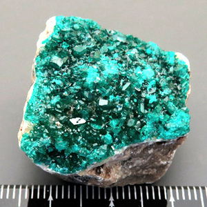 鉱物標本 翠銅鉱 Dioptase エメラルド銅鉱 カザフスタン産 瑞浪鉱物展示館 5187