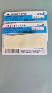 ANA株主優待券 2枚 番号通知のみ 24時間内通知 日曜・祝日の対応可 2024年5月31日まで 全日空