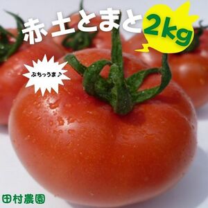 2Lサイズ（6-8玉）赤土トマト ２ｋｇ 大玉トマト 大玉とまと 高糖度 トマトとまと 旨味 ミネラル成分 豊富 プレミアム ビタミンC リコピン