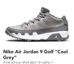Nike Air Jordan 9 Golf エアジョーダン9 ゴルフ 27.0