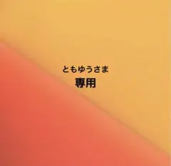 ともゆうさま専用 d15plus黒2点