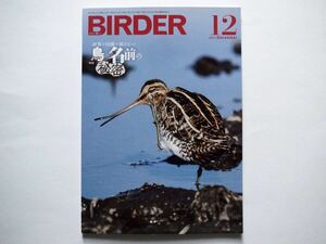 ◆BIRDER（バーダー）2023年12月号　特集：辞書や図鑑が教えない 「鳥の名前」の秘密