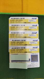 17744/17769　　ANA(全日空)株主優待券〇有効期限:2024/11/30まで〇5枚セット