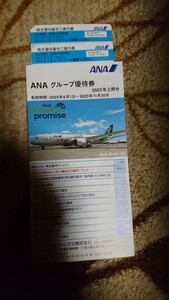 全日空（ANA）株主優待券（国内線50%OFF ）2枚 (有効期限2024年5月31日まで)ANAグル－プ優待券