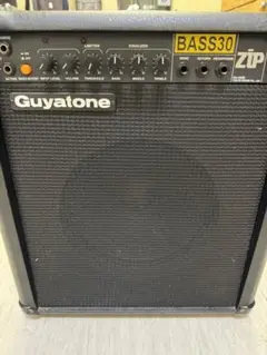 Guyatone Bass30