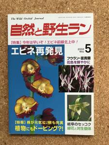 自然と野生ラン 2002年5月号　※ エビネ 富貴蘭 セッコク ※ 園芸JAPAN