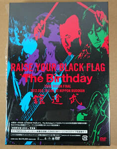 初回限定盤 2DVD+写真集 The Birthday / RAISE YOUR BLACK FLAG TOUR VISION FINAL 2012 チバユウスケ Thee Michelle Gun Elephant Rosso