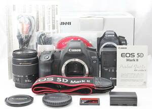 ★【限定！美品 一眼レフスターティングセット】 Canon EOS 5D Mark 2 Mark II MarkII Mark2 MK2 ★ EF28-80mm V USM ★ SanDisk 8GB