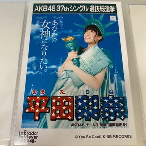 【1スタ】AKB48 平田梨奈 ラブラドールレトリバー 劇場盤 生写真 選抜総選挙 選挙ポスター 1円スタート