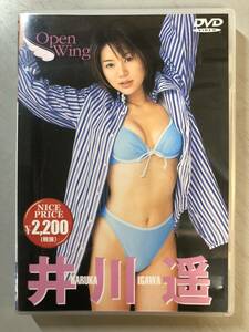 DVD　井川遥　Open Wing　VEDG-001　1円