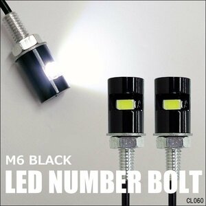 ナンバーボルト 2個組 黒 LED内蔵ボルト M6 直角照射 白発光 SMD ナンバー灯 メール便送料無料/22