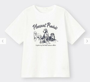 XLサイズ 新品 アニマル グラフィックT オフホワイト表記(ホワイト 白) 半袖 Tシャツ 綿100　犬 レトリバー GU 送料無料 LLサイズ