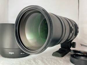 ★光学極上★ シグマ SIGMA APO 150-500mm F5-6.3 DG OS HSM ニコン NIKON ★付属品多数！　　　0126#00052 #4624