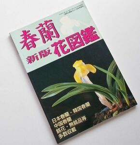 希少本 春蘭新版花図鑑写真集日本春蘭鉢韓国春蘭中国春蘭銘花楽焼鉢斑入虎斑葉芸蓮弁蘭豆弁蘭朶朶香春剣蘭素心変わり花白弁花覆輪花縞410種