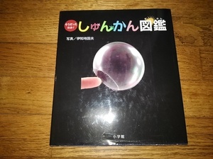 「そうだったのか！しゅんかん図鑑」伊地知国夫 瞬間　写真n