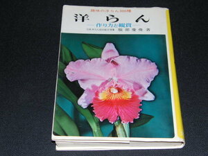 kb9■洋らん/作り方と鑑賞/趣味の洋らん300種■服部慶俊■金園社/昭和51年