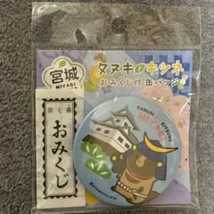 タヌキとキツネ 缶バッジ 限定