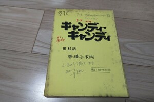 「キャンディ・キャンディ」第85話・台本