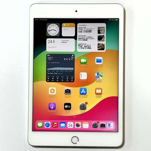 Apple SIMフリー iPad mini (第5世代) シルバー 256GB MUKD2J/A Wi-Fi+Cellular アクティベーションロック解除済