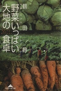 野菜いっぱい　大地の食卓 Ｍｏｔｈｅｒ　Ｅａｒｔｈ　Ｋｉｔｃｈｅｎ 知恵の森文庫／鶴田静(著者),エドワードレビンソン(その他)