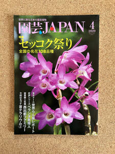 園芸JAPAN 2020年4月号　富貴蘭 長生蘭 ※ 自然と野生ラン
