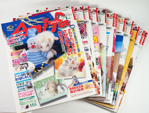 わが家の動物マガジン Anifa アニファ 2004年1月～12月号 全12冊セット (スタジオ・エス)