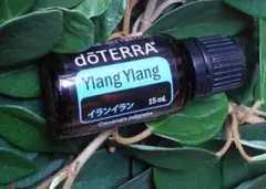 【誤開封 未使用 最安】doTERRA イランイラン 15ml 期限26年8月