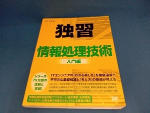 独習情報処理技術 入門編 矢沢久雄