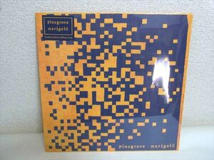 Pinegrove Marigold [限定輸入アナログ盤 / マリーゴールド・イエロー・ヴァイナル仕様 / 1LP] (RT0082LPE) パイングローヴ レコード