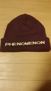 PHENOMENON ニットキャップ 紫 ビーニー SWAGGER フェノメノン