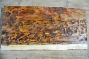 長33*幅16*厚1.5　杉6の木材木工材,一枚板送料安DIY花台銘木　杢　プレート　瘤