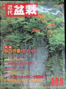 月刊　近代盆栽　秋の作業・全ガイド　1989　10　⑫　YB230505K2